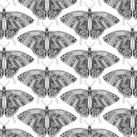 Lajforna leptira - Tealni poster Ispis Sharon Turner