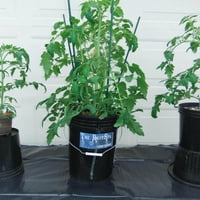 Aktivni aqua root spa galon hidroponski sistem kanta za uzgoj komplet