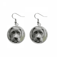 Zgodan pas za kućne ljubimce za životinje u ušima Danle srebrne kap nakita nakita