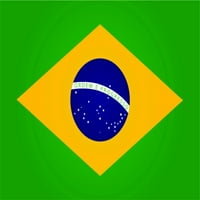Zidna decal Brazil zastava živjeti smiješno zanimljivo čudno izlagati šaljivi zabavni komični duhovit entertainianining WHINSICALY za odmor ukrašavanje ideje naljepnica - veličina: