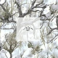 Ručno rasni listovi ili jastuk pokrovite istinsko drvo bijelo