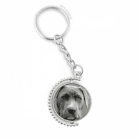 Zgodan pas kućni ljubimac za životinje Slika rotiranog čvorova prstenaste prsten za klip lanca