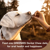 HealthyBones Originalni prirodni pas zubne nege grickalice oralno zdravstveni pas tretira za hanoverskim pasama i drugim velikim radnim psima brojanje