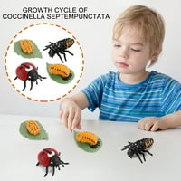 Fonwoon Insect figura Životni životni ciklus Plastični ležaj do zrelog perioda, božićni pokloni za djecu