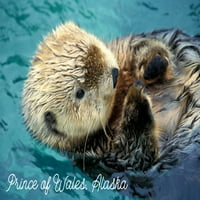 Princ of Wales, Aljaska, Otter