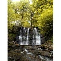POSASTAZZI DPI Pogled na vodopad u šumskom Glenariff Waterfall County Antrim Sjeverni Irska Poster Ispis