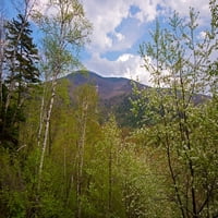 Kaskadna planina gleda se kroz proljeće lišće Adirondack Park, New York, Država Poster Print