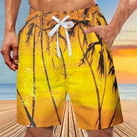 Muška ljetna kupaca za plivanje Brze suhe kratke hlače s džepovima Plus gradijentskim kratkim plažama