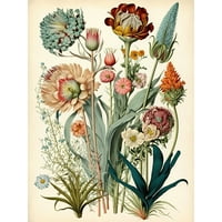 Ernst Haeckel nadahnula vintage botaničke biljne studije Moderna akvarelna slika slikanje ilustracija