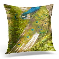 Blue Peafowl Pavo Cristatus šareni kljun jastučni jastučni jastučni jastuk