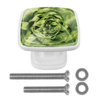 Ownta Svježa zelena salata STAMPRANJE STAKLO DRŽAVE KRUPE Vuče vijcima za kuhinjski ormar kupaonski