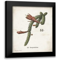 Babbitt, Gwendolyn crna modernog uokvirenog muzeja Art Print pod nazivom - Cacti III