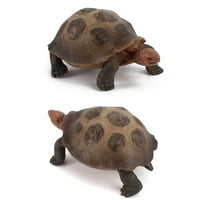 Kuluzego kornjača za životinje igračke za igračke za igračke kuće ukrase predškolske obrazovne prodaje