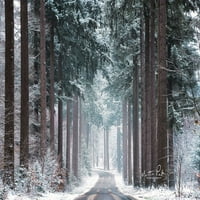 Pines u zimskom haljini Poster Print by Martin Podt